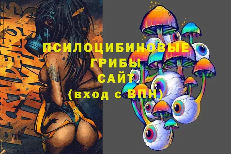 Галлюциногенные грибы Magic Shrooms  OMG маркетплейс  Богородицк 